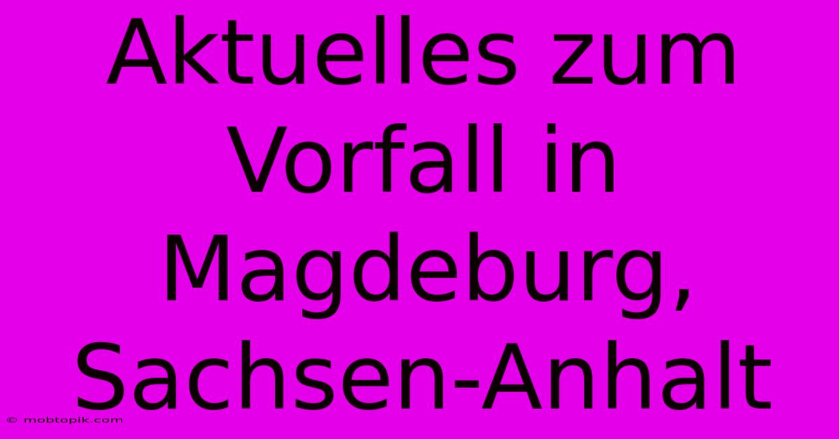 Aktuelles Zum Vorfall In Magdeburg, Sachsen-Anhalt