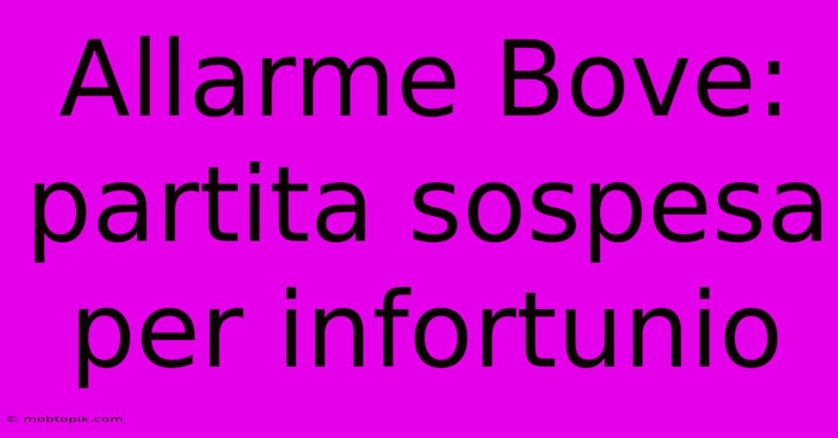Allarme Bove: Partita Sospesa Per Infortunio Allarme Bove: Partita Sospesa Per Infortunio