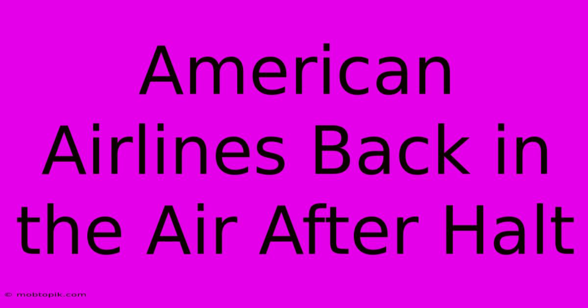 American Airlines Back In The Air After Halt