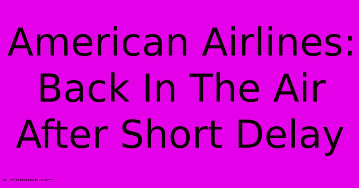 American Airlines: Back In The Air After Short Delay