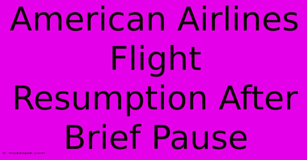 American Airlines Flight Resumption After Brief Pause