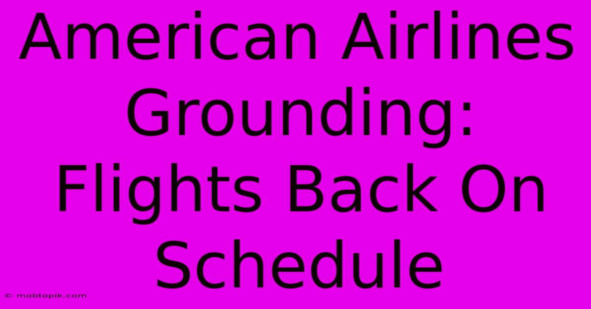 American Airlines Grounding: Flights Back On Schedule