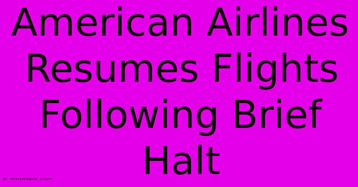 American Airlines Resumes Flights Following Brief Halt