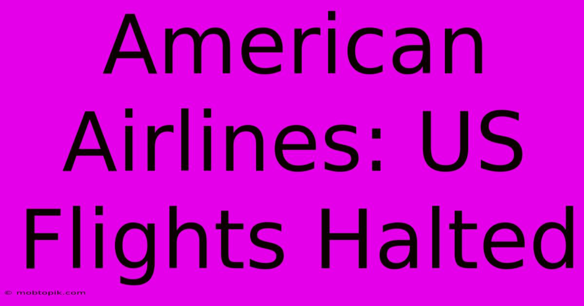 American Airlines: US Flights Halted