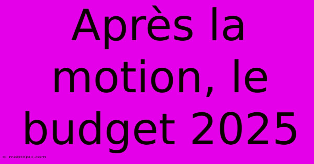 Après La Motion, Le Budget 2025