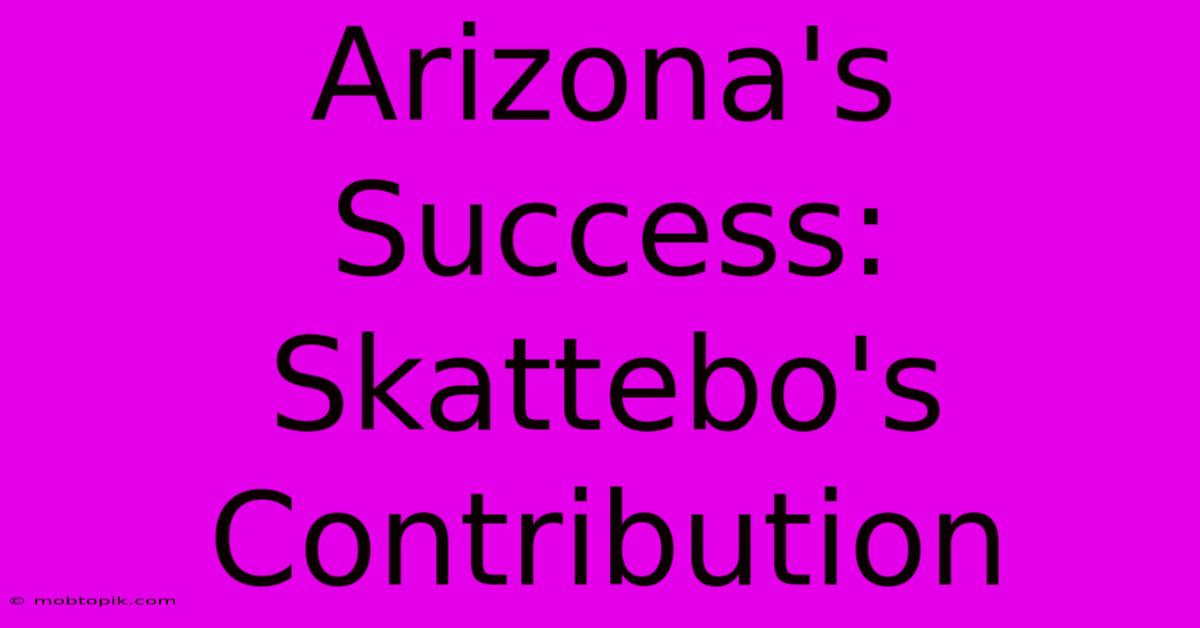 Arizona's Success: Skattebo's Contribution