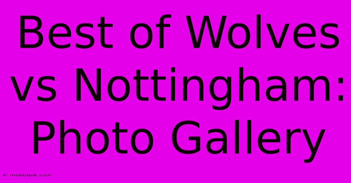 Best Of Wolves Vs Nottingham: Photo Gallery