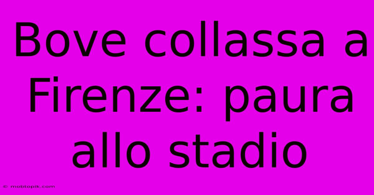Bove Collassa A Firenze: Paura Allo Stadio Bove Collassa A Firenze: Paura Allo Stadio
