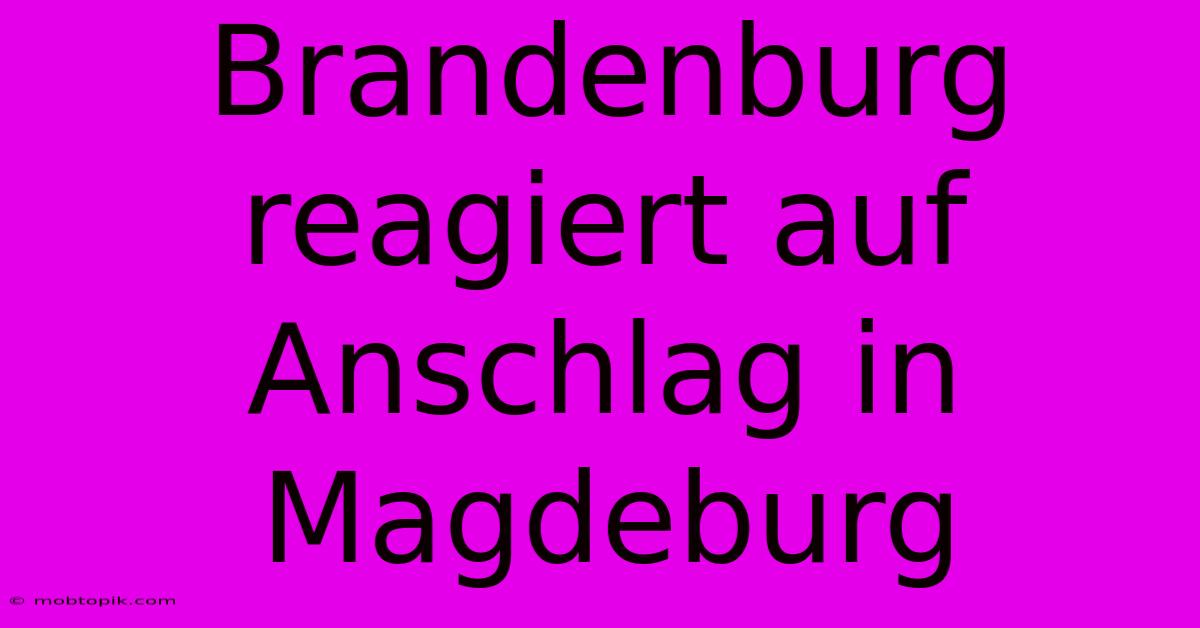 Brandenburg Reagiert Auf Anschlag In Magdeburg