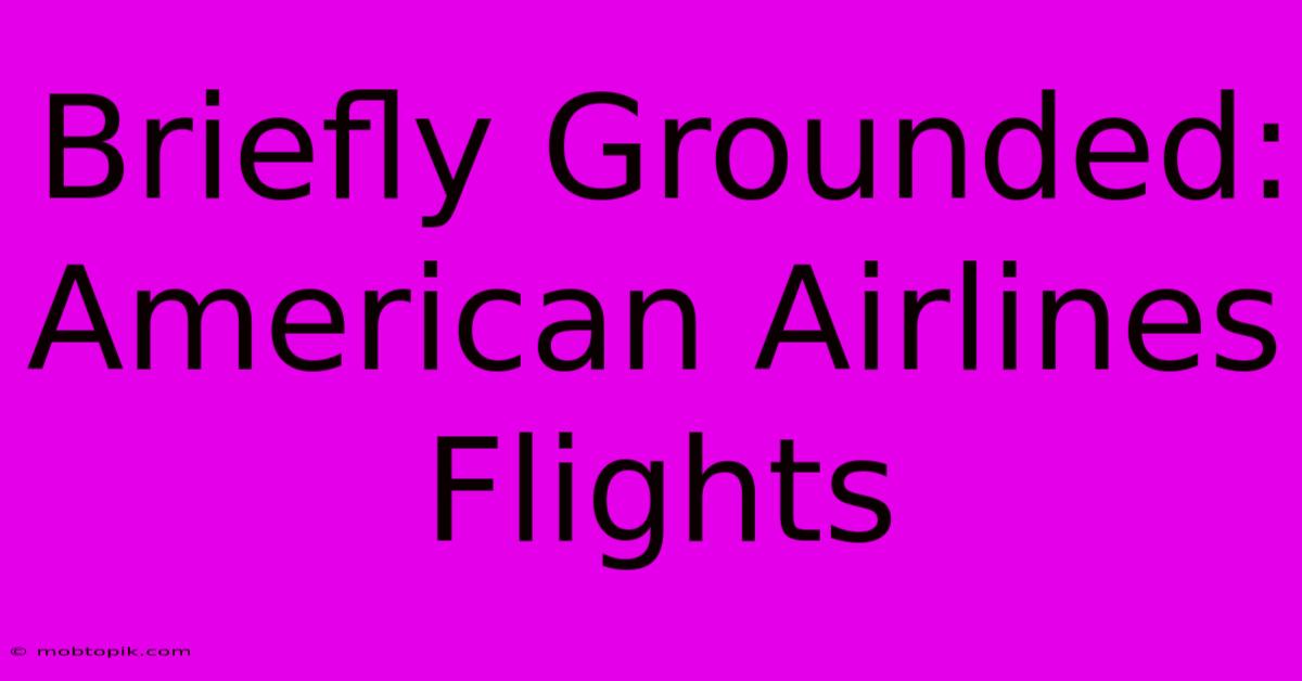 Briefly Grounded: American Airlines Flights