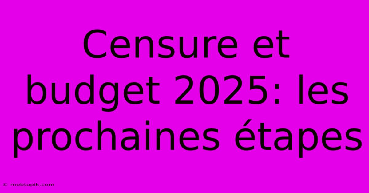 Censure Et Budget 2025: Les Prochaines Étapes