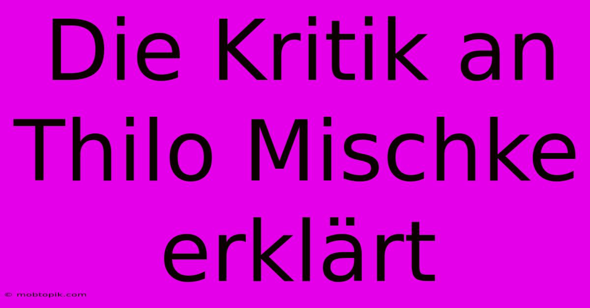 Die Kritik An Thilo Mischke Erklärt