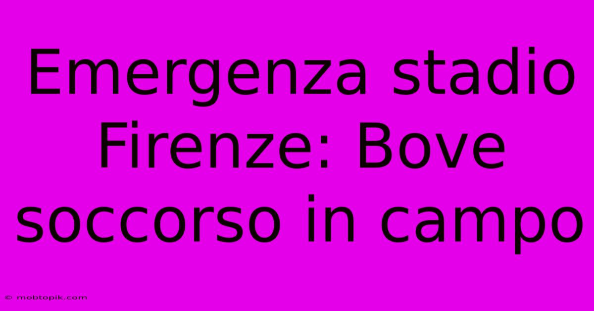 Emergenza Stadio Firenze: Bove Soccorso In Campo Emergenza Stadio Firenze: Bove Soccorso In Campo