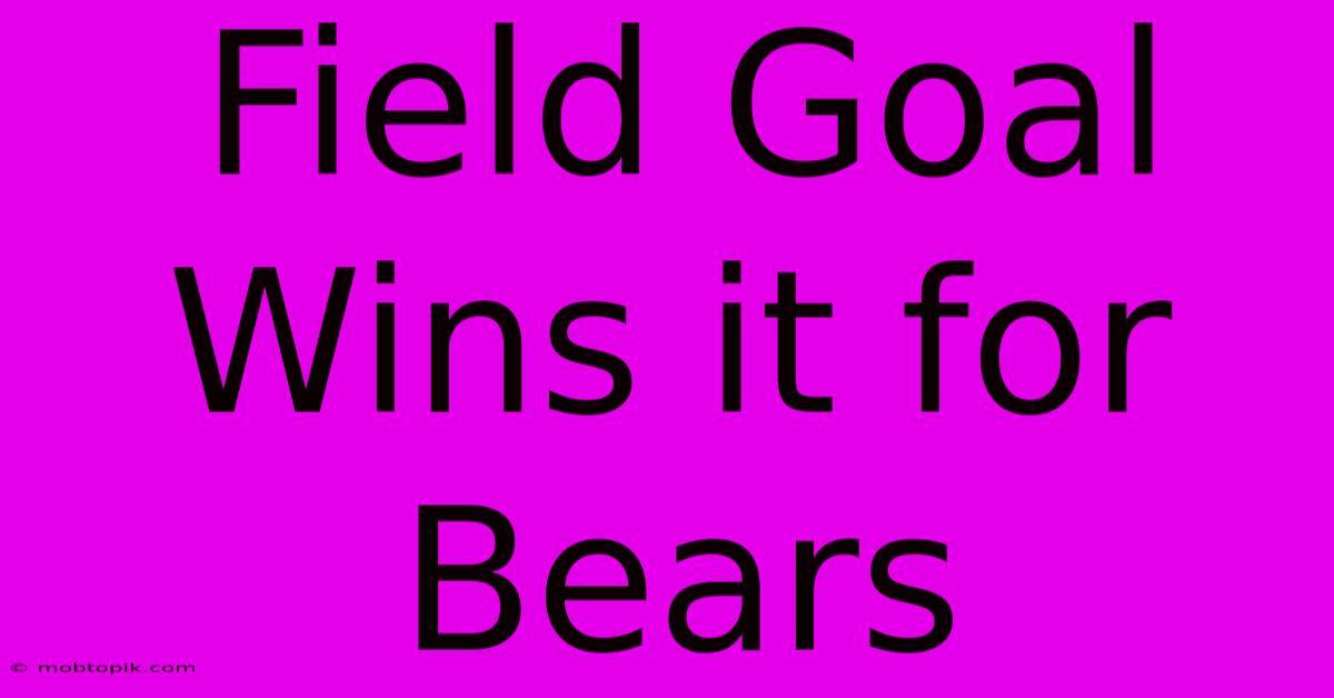 Field Goal Wins It For Bears