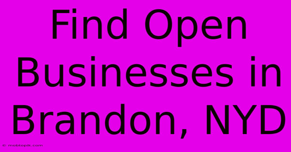 Find Open Businesses In Brandon, NYD