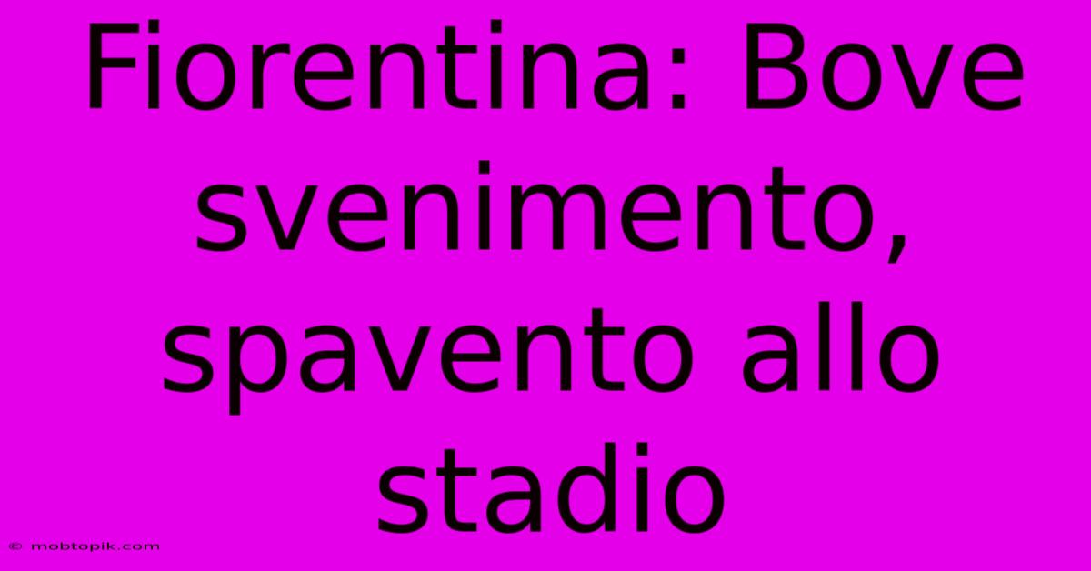 Fiorentina: Bove Svenimento, Spavento Allo Stadio Fiorentina: Bove Svenimento, Spavento Allo Stadio