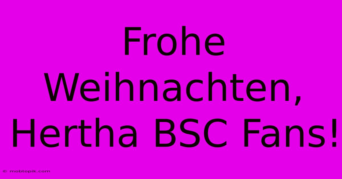 Frohe Weihnachten, Hertha BSC Fans!