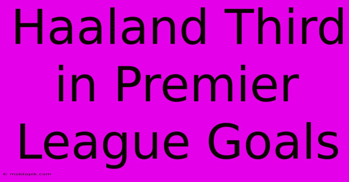 Haaland Third In Premier League Goals