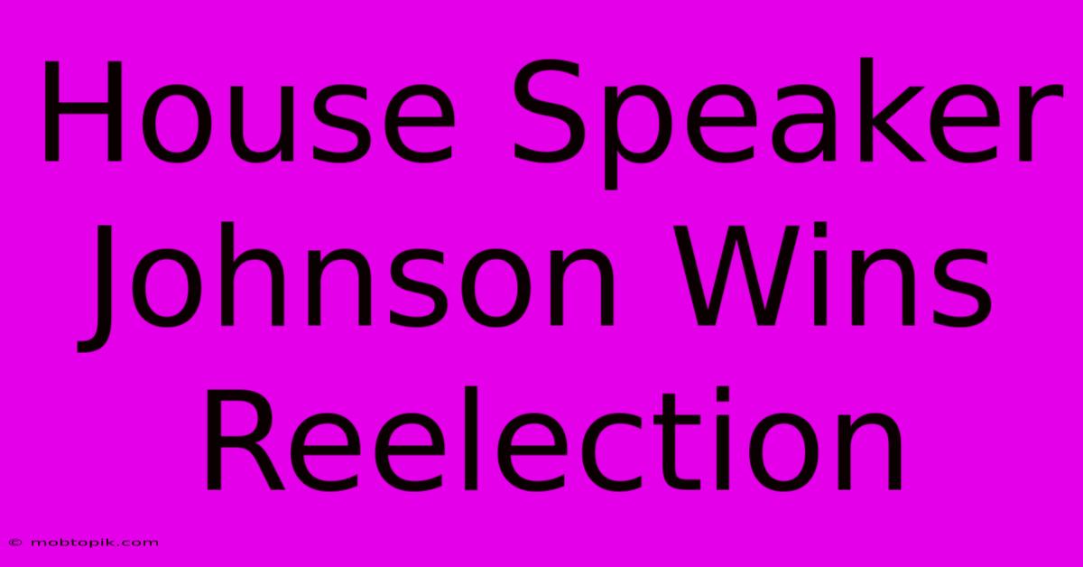 House Speaker Johnson Wins Reelection