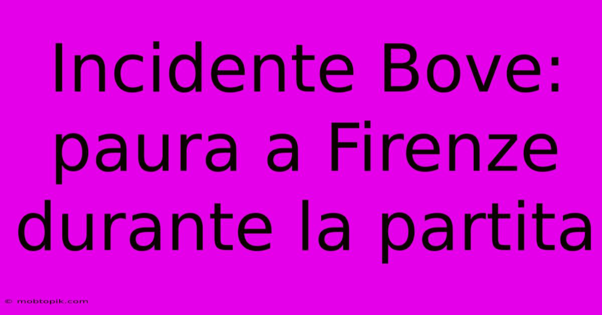 Incidente Bove: Paura A Firenze Durante La Partita Incidente Bove: Paura A Firenze Durante La Partita