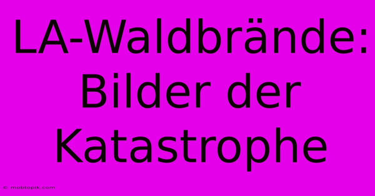 LA-Waldbrände: Bilder Der Katastrophe