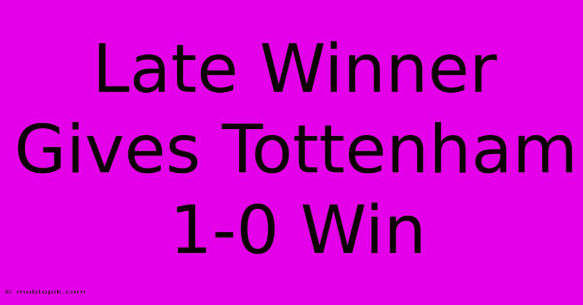 Late Winner Gives Tottenham 1-0 Win