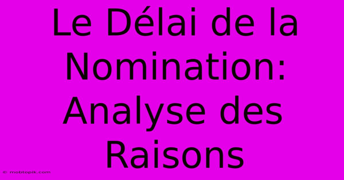 Le Délai De La Nomination: Analyse Des Raisons Le Délai De La Nomination: Analyse Des Raisons