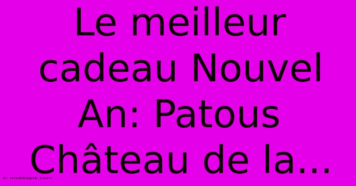 Le Meilleur Cadeau Nouvel An: Patous Château De La...