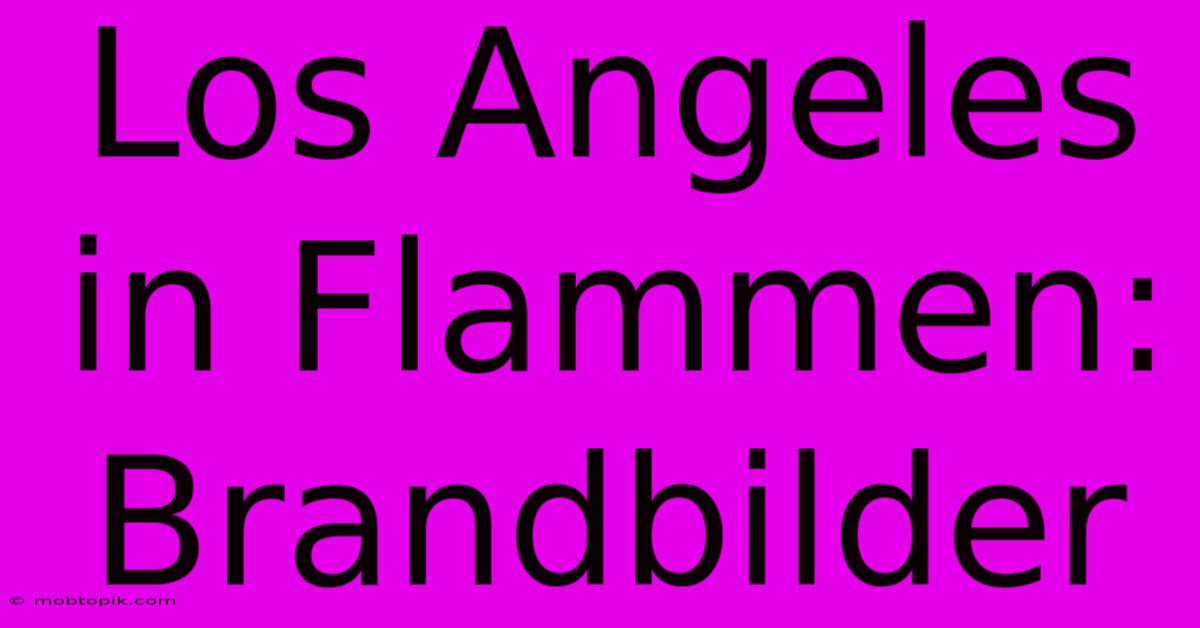 Los Angeles In Flammen: Brandbilder