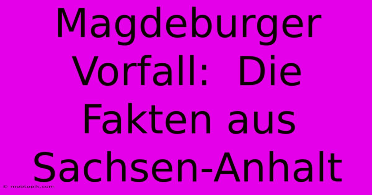 Magdeburger Vorfall:  Die Fakten Aus Sachsen-Anhalt