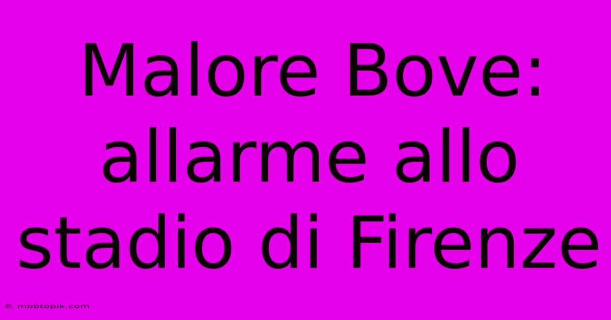 Malore Bove: Allarme Allo Stadio Di Firenze Malore Bove: Allarme Allo Stadio Di Firenze