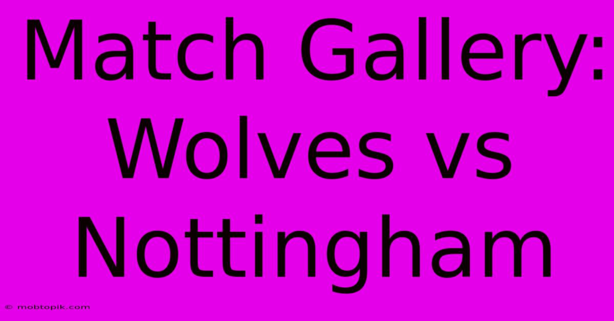 Match Gallery: Wolves Vs Nottingham