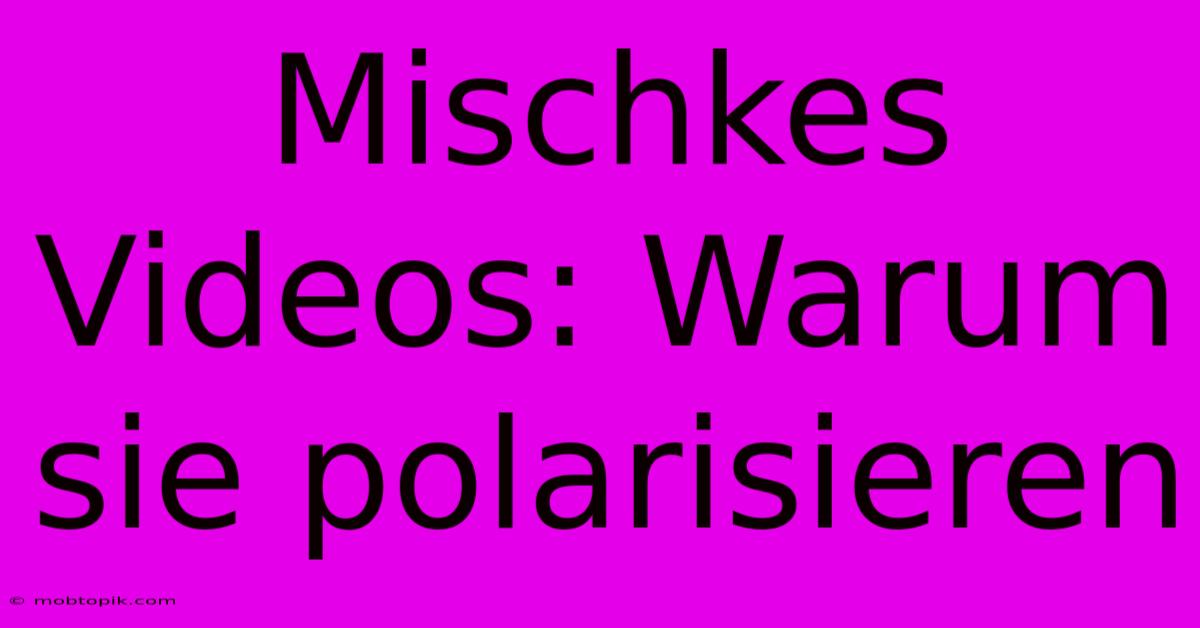 Mischkes Videos: Warum Sie Polarisieren