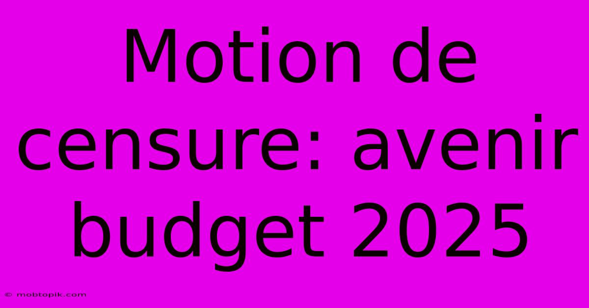 Motion De Censure: Avenir Budget 2025