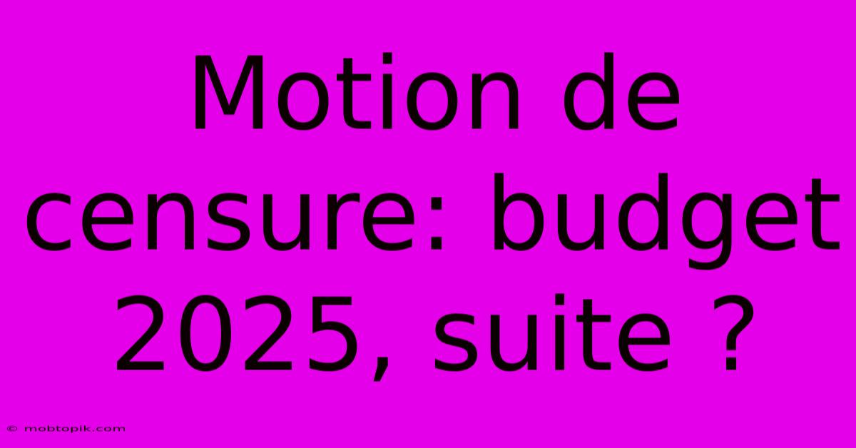 Motion De Censure: Budget 2025, Suite ?