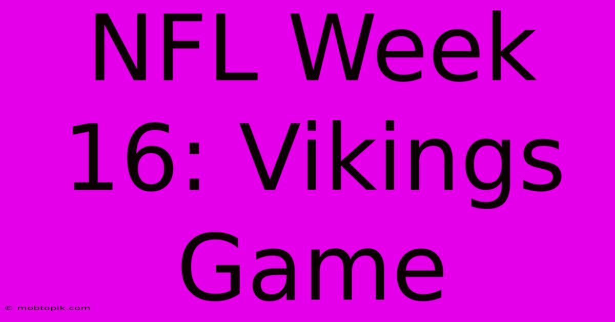 NFL Week 16: Vikings Game