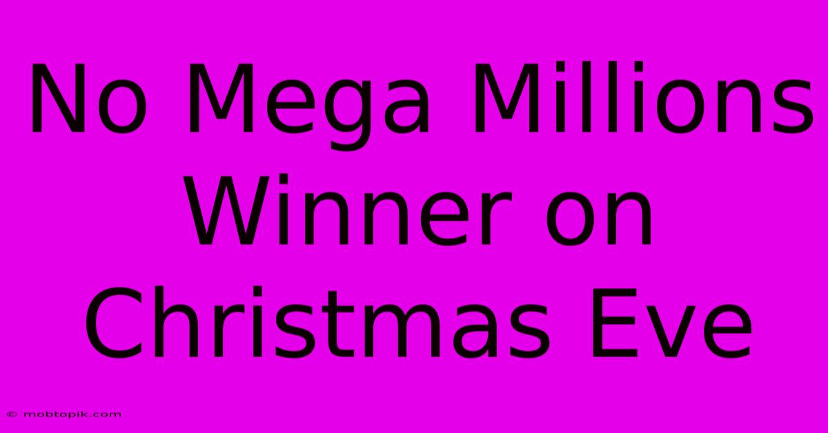 No Mega Millions Winner On Christmas Eve