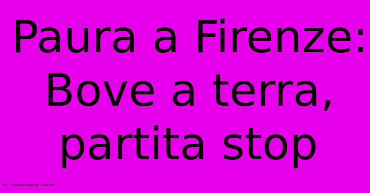 Paura A Firenze: Bove A Terra, Partita Stop Paura A Firenze: Bove A Terra, Partita Stop
