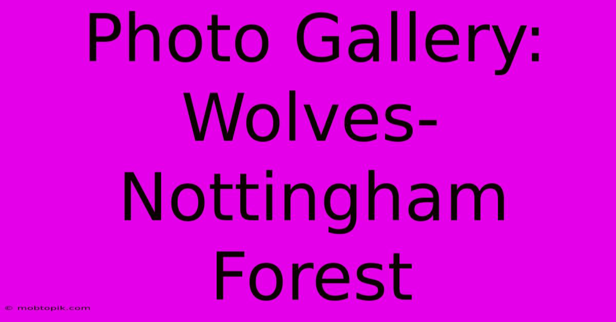 Photo Gallery: Wolves-Nottingham Forest