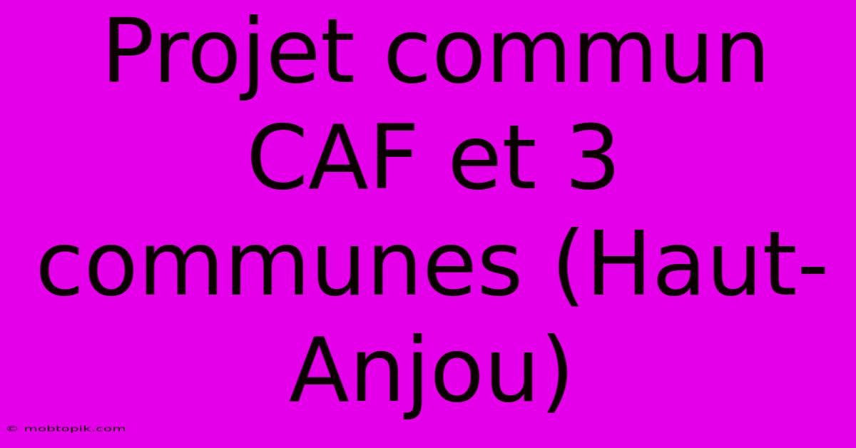 Projet Commun CAF Et 3 Communes (Haut-Anjou)