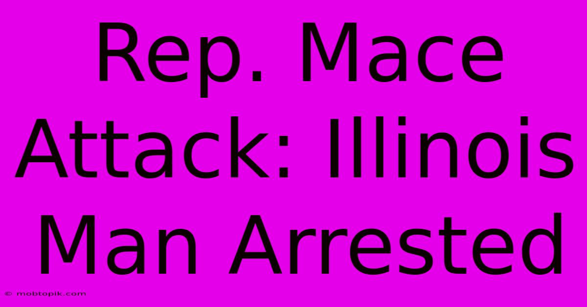 Rep. Mace Attack: Illinois Man Arrested Rep. Mace Attack: Illinois Man Arrested