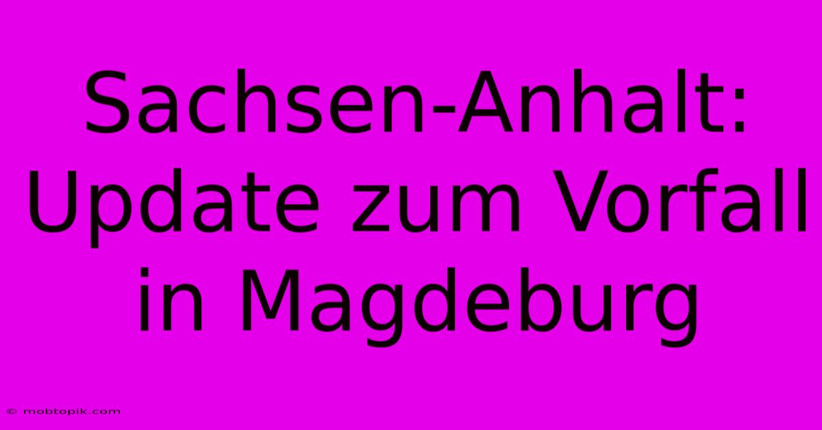 Sachsen-Anhalt:  Update Zum Vorfall In Magdeburg