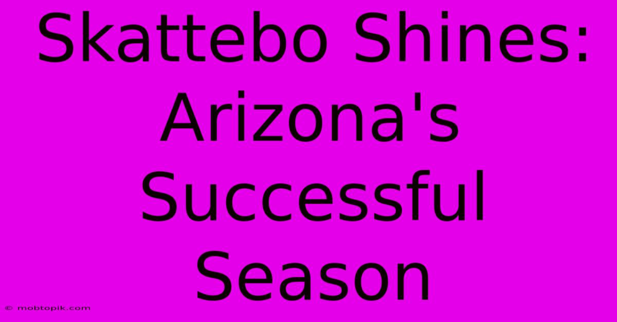 Skattebo Shines: Arizona's Successful Season