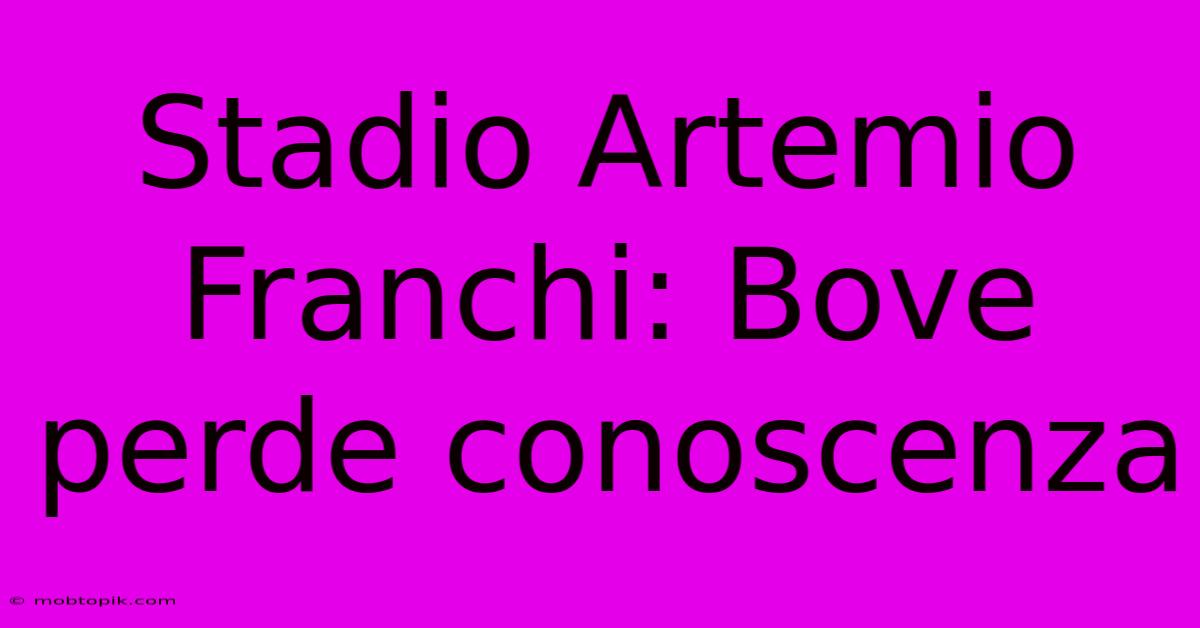 Stadio Artemio Franchi: Bove Perde Conoscenza Stadio Artemio Franchi: Bove Perde Conoscenza