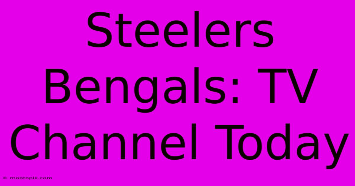 Steelers Bengals: TV Channel Today Steelers Bengals: TV Channel Today