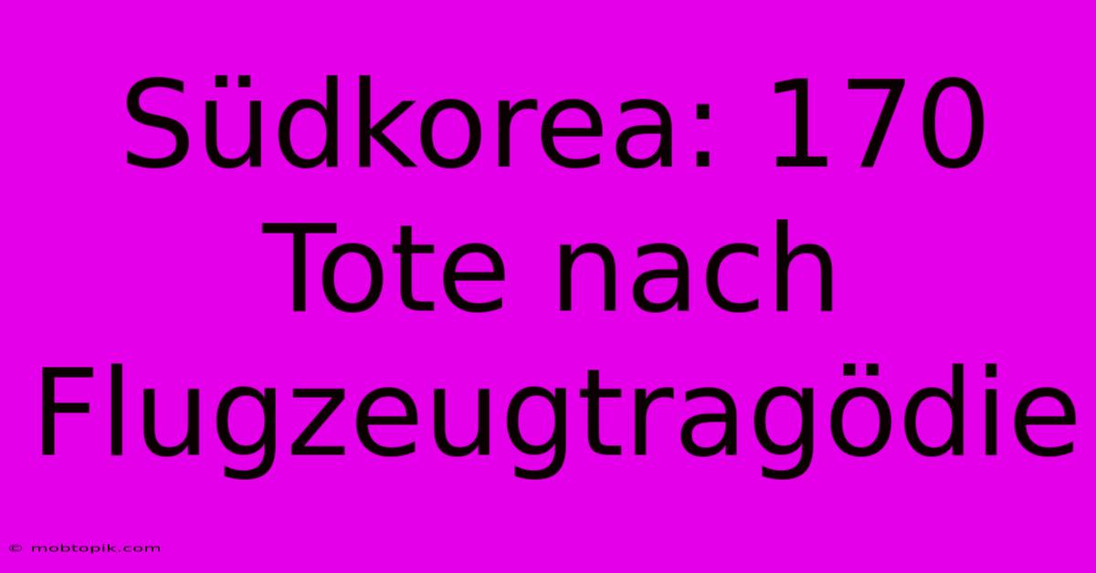 Südkorea: 170 Tote Nach Flugzeugtragödie