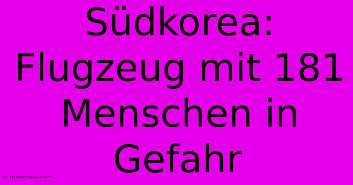 Südkorea: Flugzeug Mit 181 Menschen In Gefahr