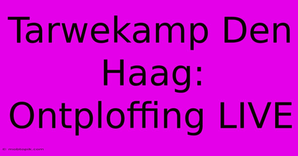 Tarwekamp Den Haag: Ontploffing LIVE Tarwekamp Den Haag: Ontploffing LIVE