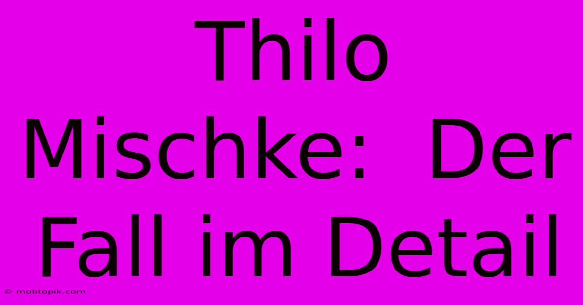 Thilo Mischke:  Der Fall Im Detail