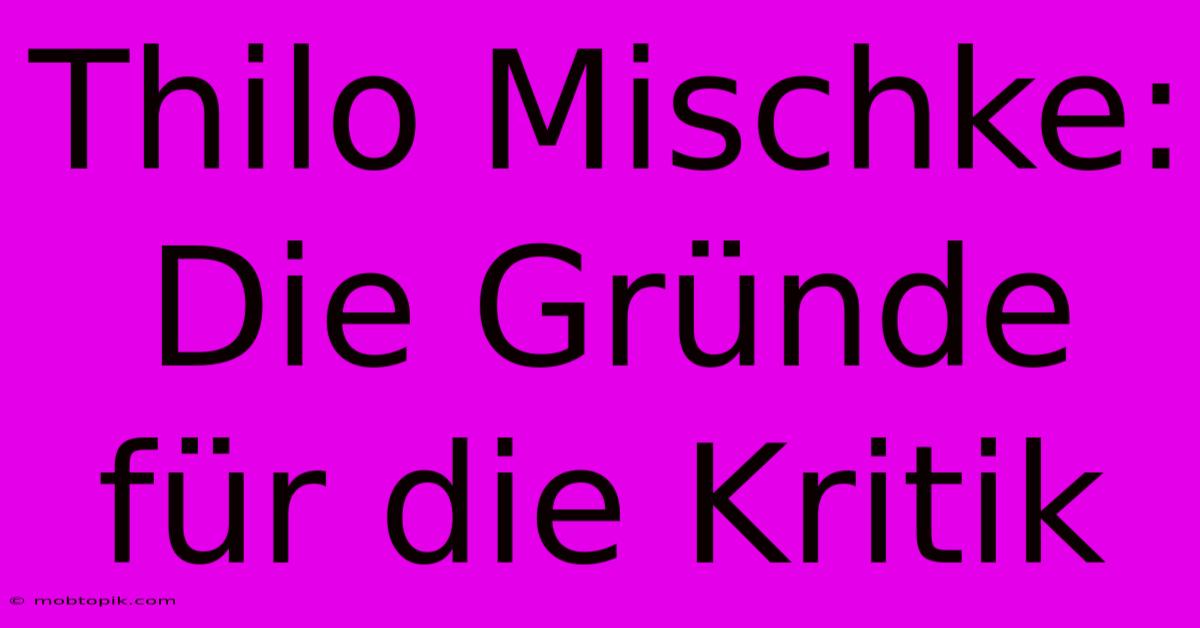 Thilo Mischke:  Die Gründe Für Die Kritik